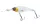 Daiwa Steez Shad 60SP-MR
shirauo 6.0cm 6.7g