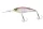 Daiwa Steez Shad 60SP-DR
ghost wakasagi 6.0cm 7.0g