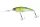 Daiwa Steez Shad 60SP-DR
natural pearl ayu 6.0cm 7.0g