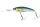 Daiwa Steez Shad 60SP-DR
special shiner 6.0cm 7.0g