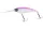 Daiwa Steez Shad 60SP-DR
matt pink purple 6.0cm 7.0g