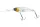 Daiwa Steez Shad 60SP-DR
shirauo 6.0cm 7.0g