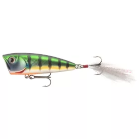 Daiwa Steez Popper 60F
matt gill 6.0cm 7.6g