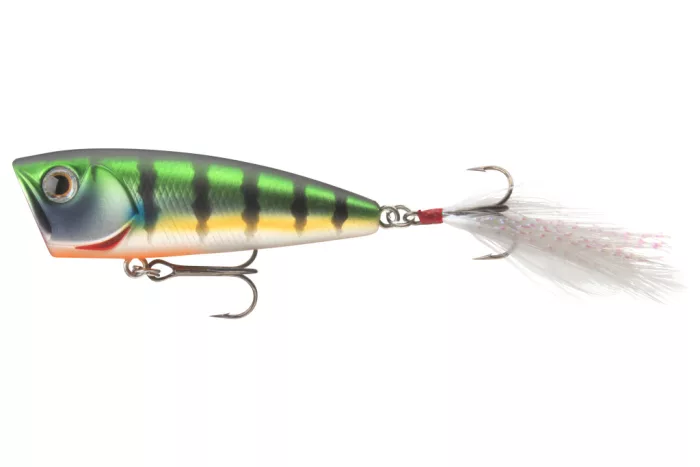 Daiwa Steez Popper 60F
matt gill 6.0cm 7.6g