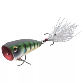 Daiwa Steez Popper 60F
matt gill 6.0cm 7.6g