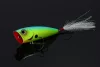 Daiwa Steez Popper 60F
blue back chart 6.0cm 7.6g