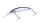 Daiwa Steez Double Clutch   50SP
IP wakasagi 48mm 2.7g