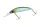 Daiwa Steez Double Clutch   50SP
IP ayu 48mm 2.7g