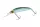 Daiwa Steez Double Clutch   50SP
natural ghost shad 48mm 2.7g