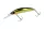 Daiwa Steez Double Clutch   50SP
black gold 48mm 2.7g