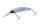 Daiwa Steez Double Clutch   50SP
shirauo 48mm 2.7g