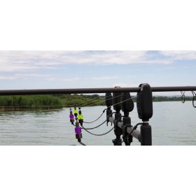 CARP ACADEMY Thunder Swinger