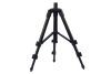 CARP EXPERT MINI TRIPOD