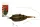 CARP EXPERT METHOD RIG CSALITÜSKÉVEL 40G 7MM