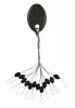 NEVIS Stopper - Black (S)