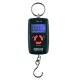 REIVA Reiva Elektromos mérleg 45kg