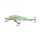 SALMO WOBBLER MINNOW M6S RBT
