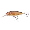 SALMO WOBBLER PERCH PH8DR RR