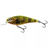 Salmo
