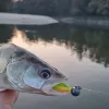 REIVA Fluorocarbon előke 2/cs 40cm/0,35mm