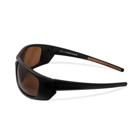 Polarizált napszemüveg Delphin SG ESO 