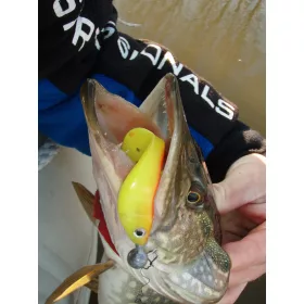 NEVIS Twister Shad Nevis 3db/cs (Bleak)