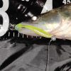 REIVA Zander Power Shad 12,5cm 3db/cs (Watermelon)