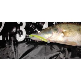 REIVA Zander Power Shad 8cm 5db/cs (5szín)