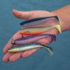 REIVA Flat Minnow Shad 5cm 5db/cs (Magic Fish)