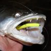 REIVA Flash Shad 15cm 3db/cs (Poison Green)