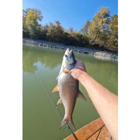 REIVA Blademaster 7g (SFC)