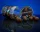 Bait Bait Rodin - Dippelt Csalizó Bojli  24 mm 220 g baitbait