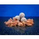 Bait Bait Lázadó Bojli - Sózott  20 mm 1 Kg baitbait