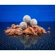 Bait Bait Lelkész Bojli - Sózott  24 mm 1 Kg baitbait