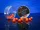 Bait Bait Álmok Tengere - Fluo Wafters Mini Bojli+Betain 11mm 20 g baitbait