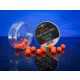 Bait Bait Álmok Tengere - Fluo Wafters Mini Bojli+Betain 11mm 20 g baitbait