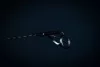 BULL FISHING BULL TACKLE - PHANTOM - 2022-az év horgászbotja!