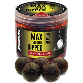   Haldorádó MAX MOTION Boilie Dipped 20 mm - Fűszeres Vörös Máj
