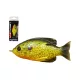 LIVETARGET SUNFISH WALKING BAIT FLORESCENT PUMPKINSEED 75 MM 12 G