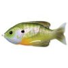 LIVETARGET SUNFISH WALKING BAIT FLORESCENT PUMPKINSEED 75 MM 12 G