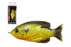 LIVETARGET SUNFISH WALKING BAIT FLORESCENT PUMPKINSEED 75 MM 12 G