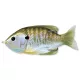 LIVETARGET SUNFISH WALKING BAIT NATURAL/OLIVE BLUEGILL 90MM 18 G