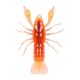 LIVETARGET 2.8" CRAWFISH UN-RIGGED FIRE / ORANGE 71 MM SINKING 6DB/CS