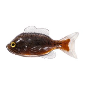   LIVETARGET 3.3” SUNFISH UNRIGGEDBROWN / BLACK 85MM  SINKING 4DB/CS
