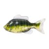 LIVETARGET 3.3” SUNFISH UNRIGGED GREEN / CREAM 85MM  SINKING 4DB/CS