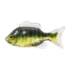 LIVETARGET 3.3” SUNFISH UNRIGGED GREEN / CREAM 85MM  SINKING 4DB/CS
