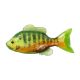 LIVETARGET 3.3” SUNFISH UNRIGGED CHARTREUSE / ORANGE 85MM  SINKING 4DB/CS