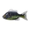 LIVETARGET 3.3” SUNFISH UNRIGGED CHARTREUSE / ORANGE 85MM  SINKING 4DB/CS