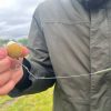 Tisza Baits SQUIDBERRY (Tintahal-Áfonya) pop-up 14 mm