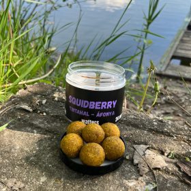 Tisza Baits SQUIDBERRY (Tintahal-Áfonya) wafters bojli